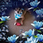 Marlene Ward's photo