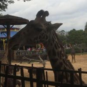 Helen McGurk's photo