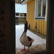 Foto von Tina PL