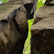 Paul McMaster's photo