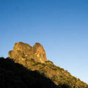 Amber Lang's photo
