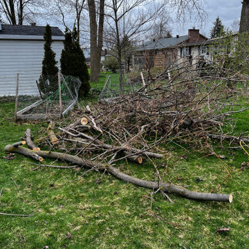 Bryan Drive Garden Refresh