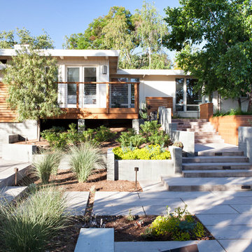 Los Gatos House