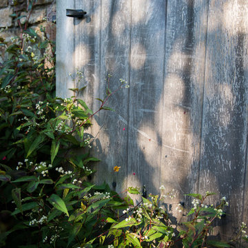 Shaded Refuge