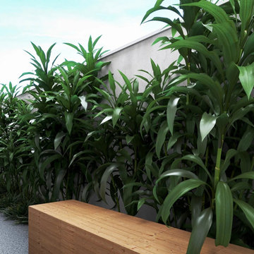Juliana Residential Landscape (Ipê Dourado)