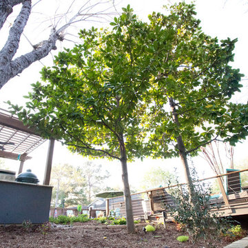 Living outdoors