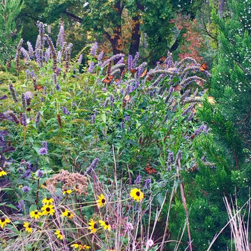 Butterfly garden