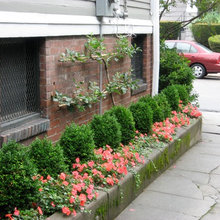 side yard