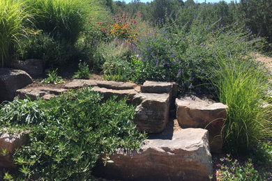 Inspiration for a mid-sized southwestern rock and full sun front yard driveway in Albuquerque.