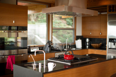 Kitchen - contemporary kitchen idea in Los Angeles