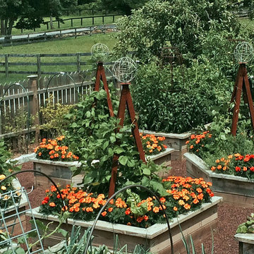 Farmhouse garden raised beds with modern trellis