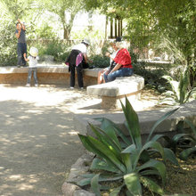 Arid Landscaping