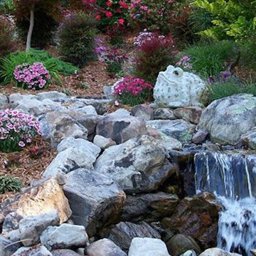 Landscape Design