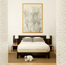 rabbit- floor coverings, etc