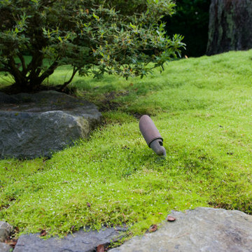 Moss gardens