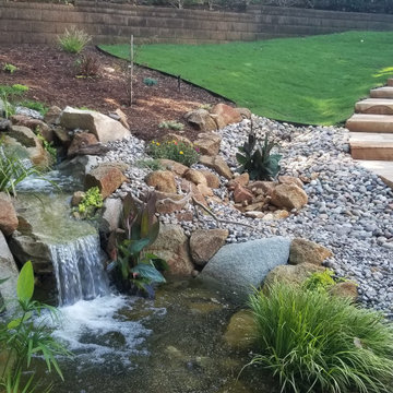 Ponds and Streams