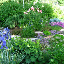 Plants for Front Garden