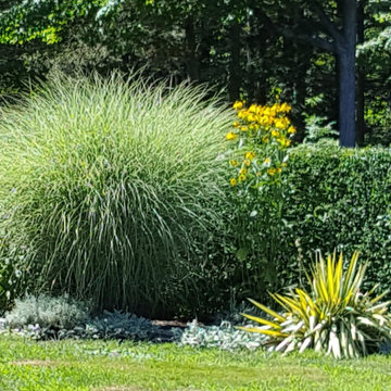 My Garden