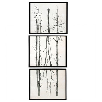 Wood Framed Artwork, Black, 3-Piece Set, Tree