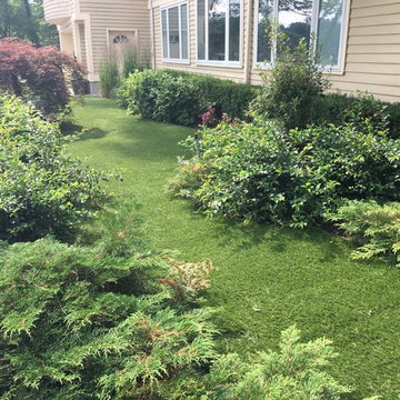 Artificial Grass front yard