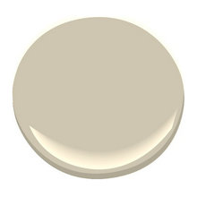 Paint color