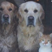 Lana Taylor's photo