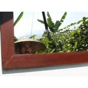 Craig Staub's photo