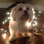 Millie Jean's photo