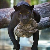 Vitoldas Jurkonis's photo
