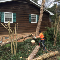 Phenica Tree Care, LLC