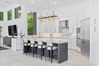 Kitchen - contemporary kitchen idea in Miami
