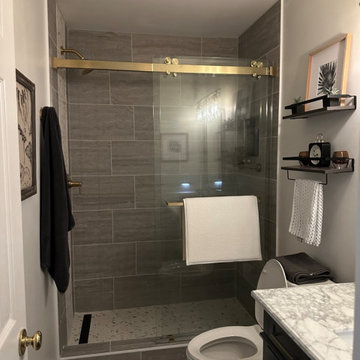 Lower Level Guest Bathroom