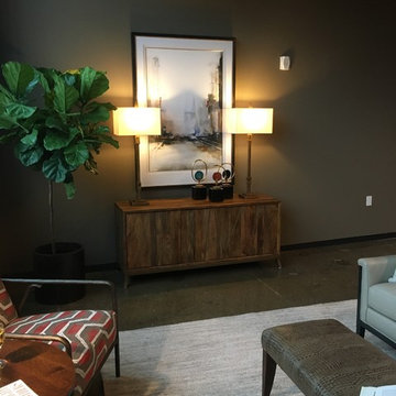 DPVA Showhouse 2017