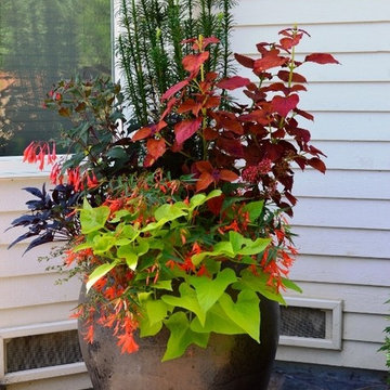 Container Gardens