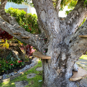 100 Year Old Tree Bench
