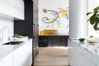 Kitchen - contemporary kitchen idea in Toronto