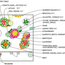 veggie garden