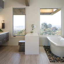 Master Bath Barrington