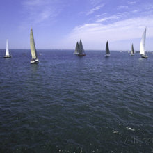 Sailboats in Ocean, Ticonderoga Race   By: Michael Brown Item #: 402089