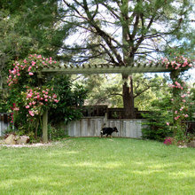 Trellis
