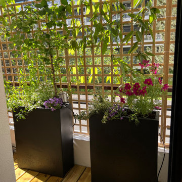 Un balcon champêtre à Paris