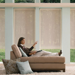 Designer Screen Roller  Shades - Products