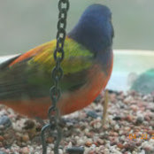 Diane Givens's photo