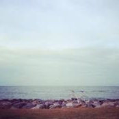Foto von Manin Puri