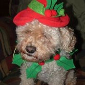 Roma Schneider's photo
