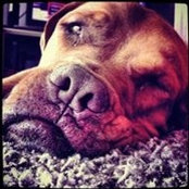 Carla Lole's photo