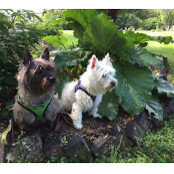 Melissa Stecher's photo