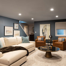Lower Level Renovation