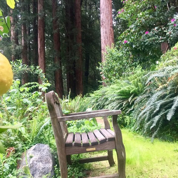 Redwood Living