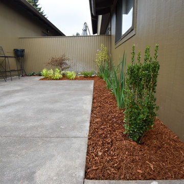 Plant Installation